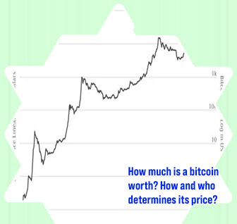 Bitcoin price from beginning