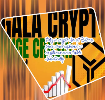 Crypto price crash