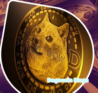 Doge bitcoin price