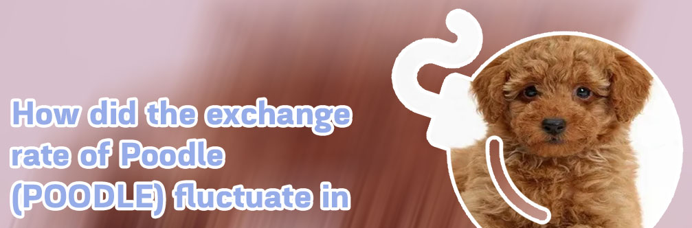 Poodle crypto price