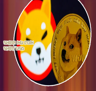 Price of shiba cryptocurrency